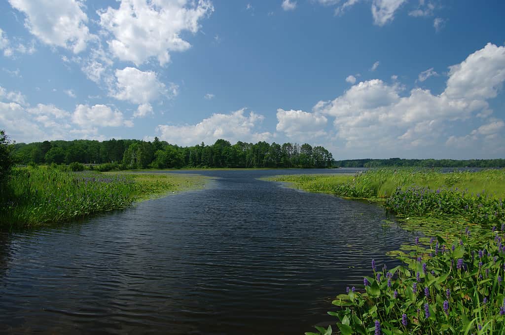 Boat Channel