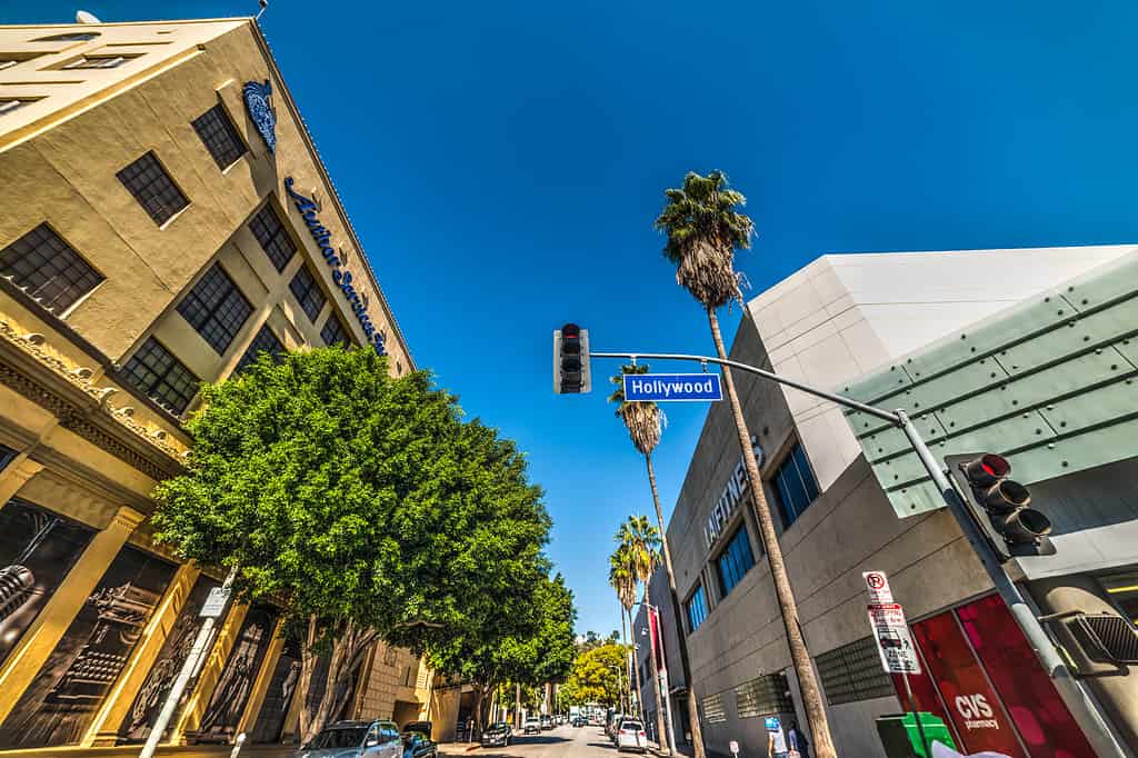 Architecture, Boulevard, Built Structure, California, City Of Los Angeles