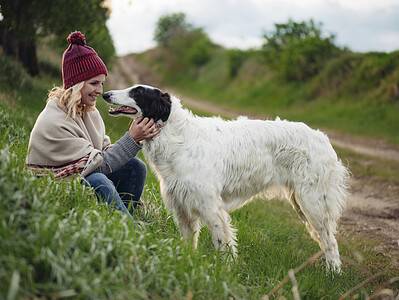 A Borzoi Prices in 2023: Purchase Cost, Vet Bills, and More!
