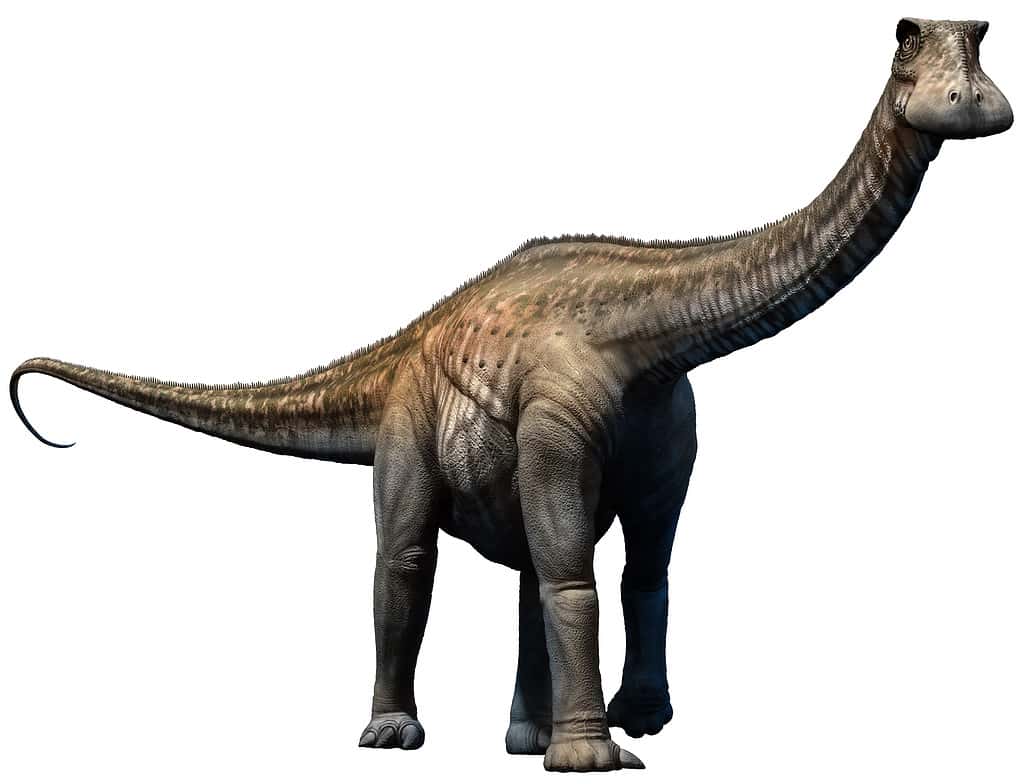 Nigersaurus