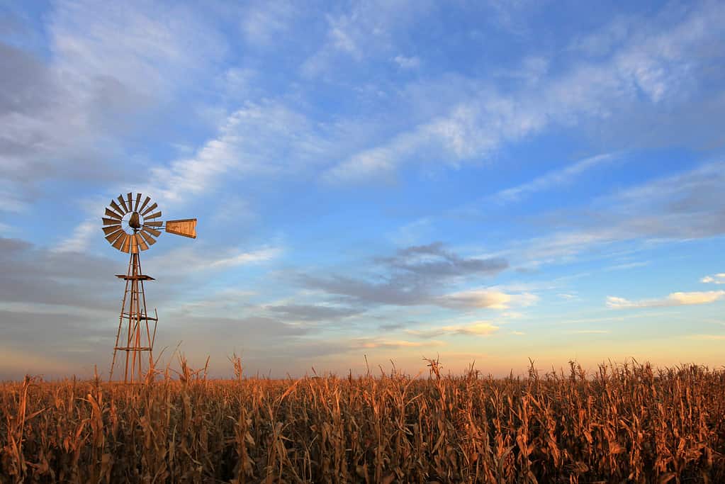 Texas style westernmill windmill at sunset, Argentina