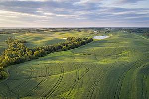 The Top 8 Most Valuable Crops Harvested in Missouri Picture