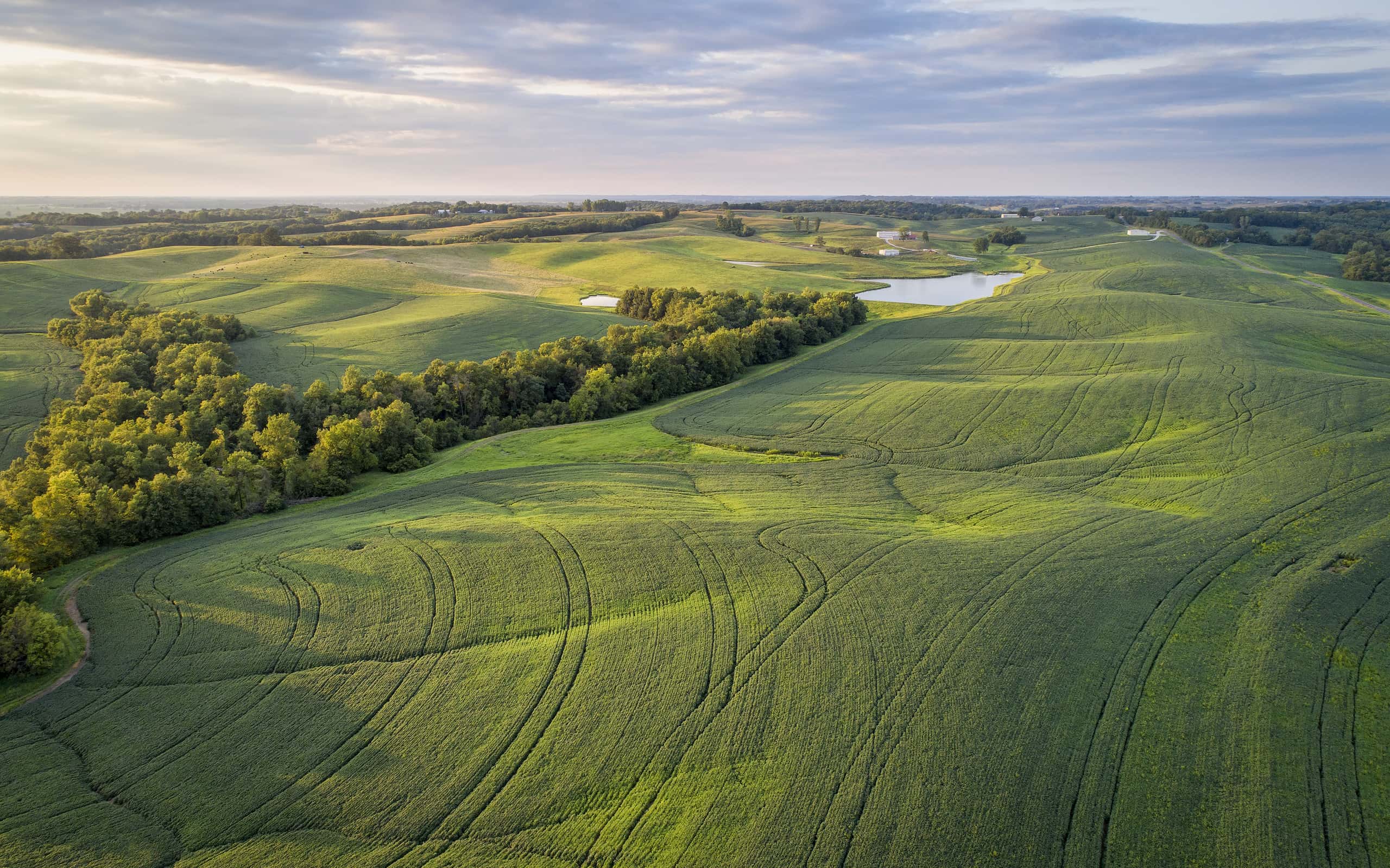 aerial view of green soybean fields s in a valley of the Missouri River, near Glasgow, MO, late summer