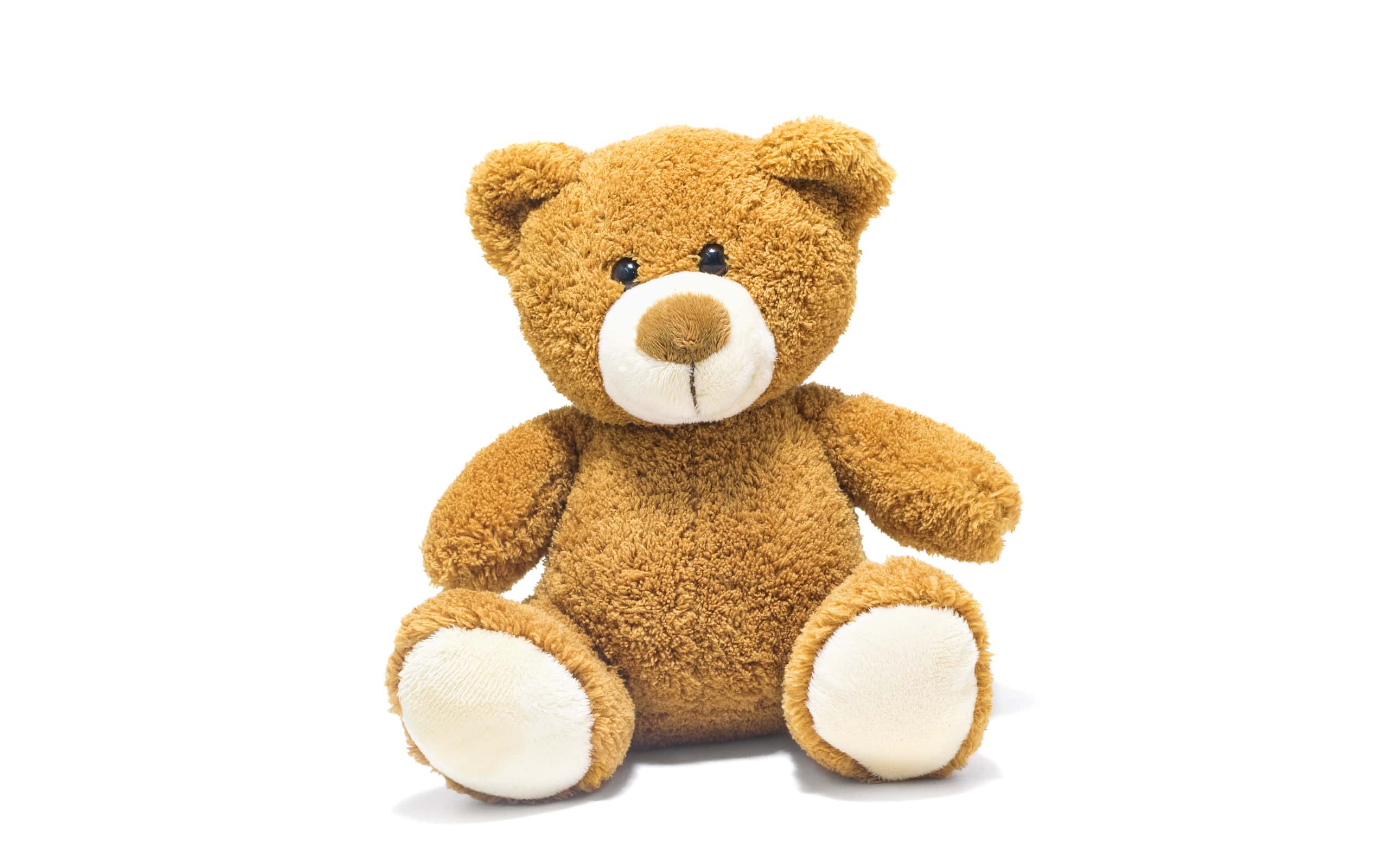 Brown teddy bear isolated in front of a white background.