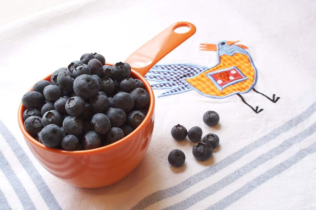 Blueberries in a Measuring Cup