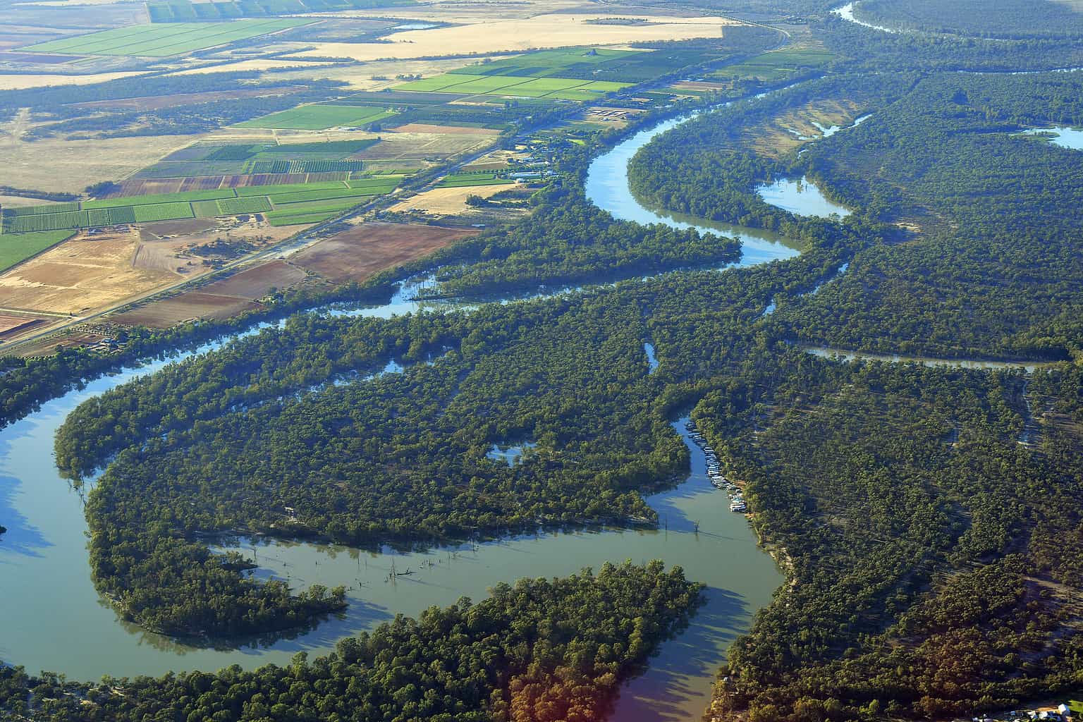 7 Most Snake-Infested Rivers in Australia - A-Z Animals