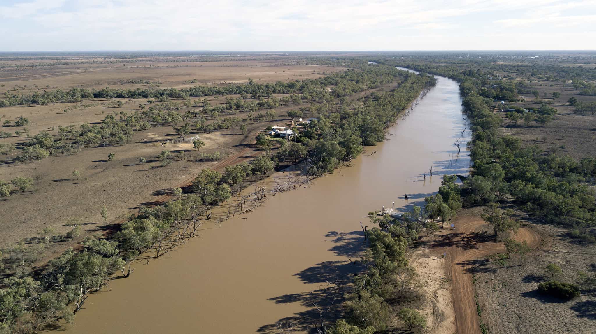 7 Most Snake-Infested Rivers in Australia - A-Z Animals
