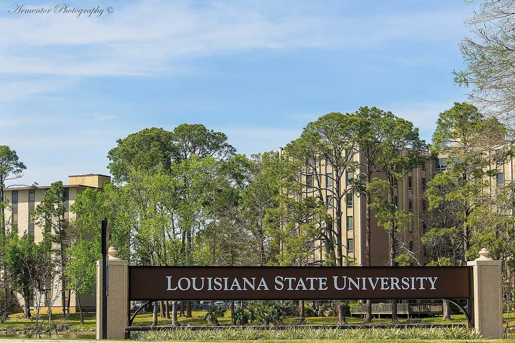 View of LSU north gate sign