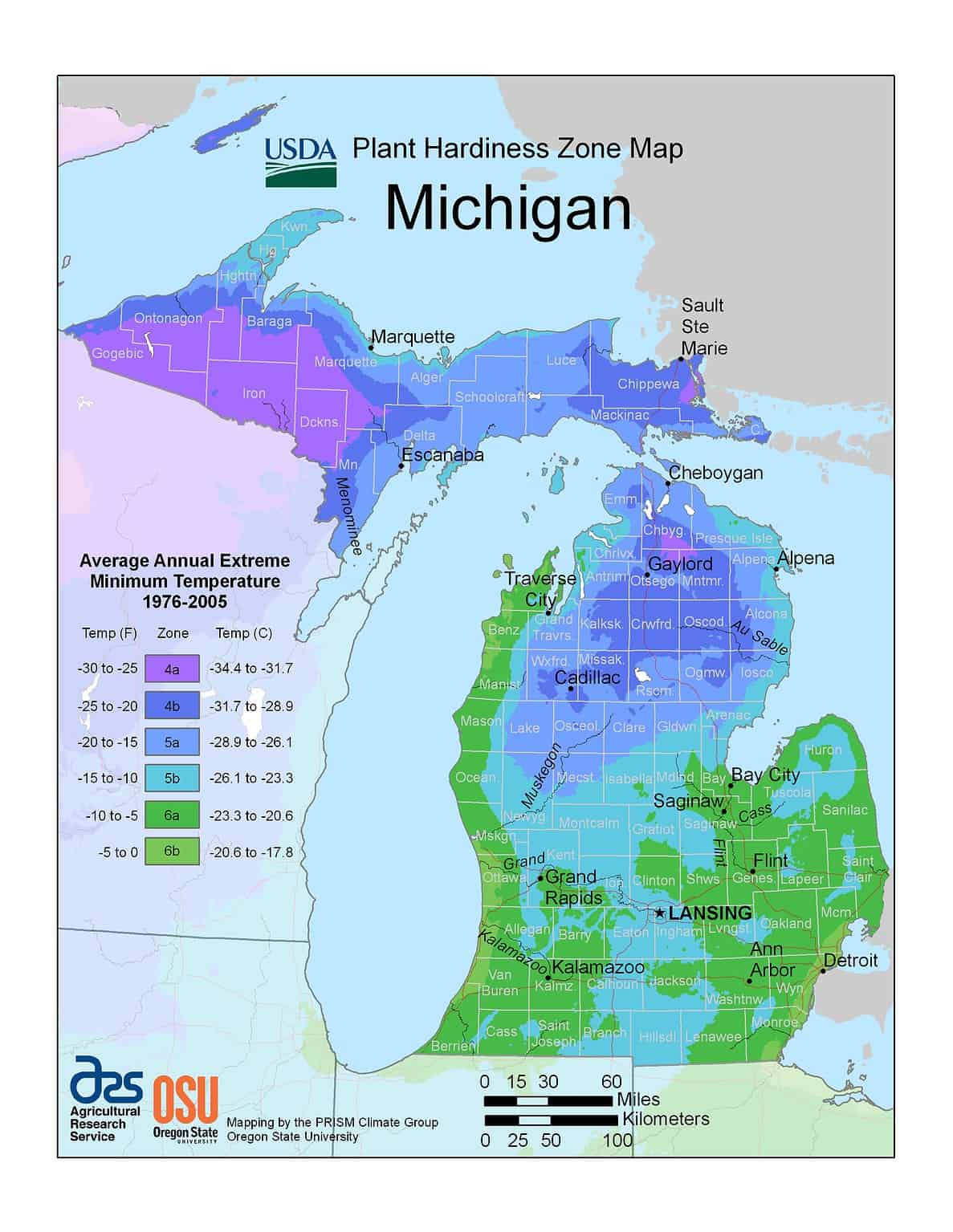 Discover Michigan's Planting Zones — Plus 4 Keys to Keeping Flowers 