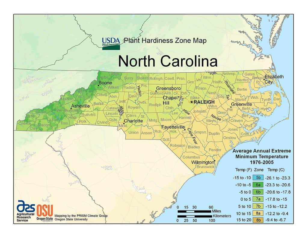 North Carolina Planting Zones