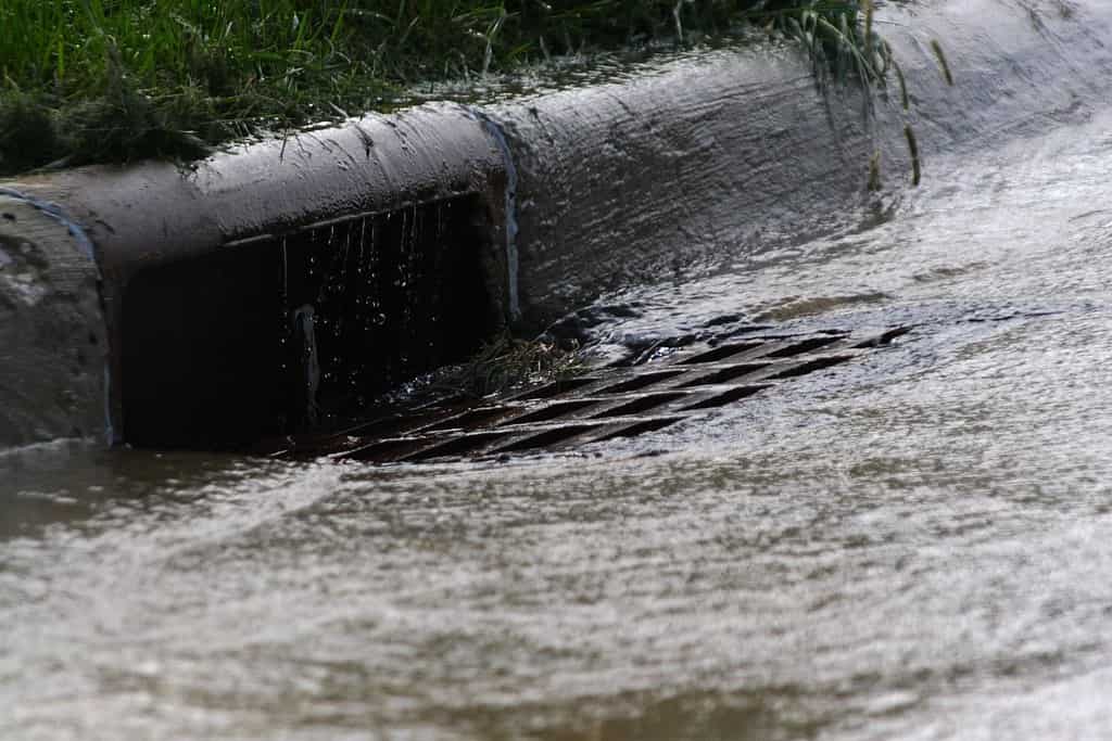 Storm drain collecting water