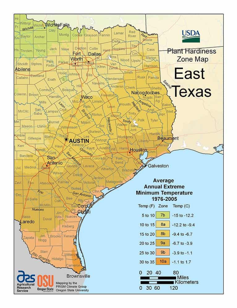 Discover Texas Planting Zones Plus 10 Keys To Keeping Flowers Shrubs And Trees Alive A Z 2974