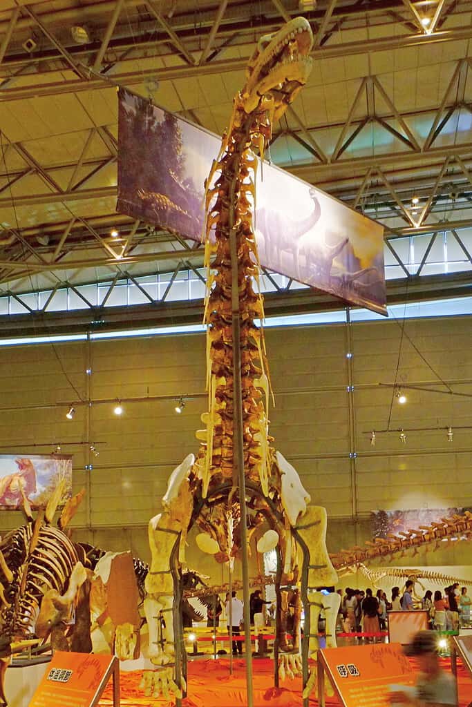 Xianshanosaurus skeleton