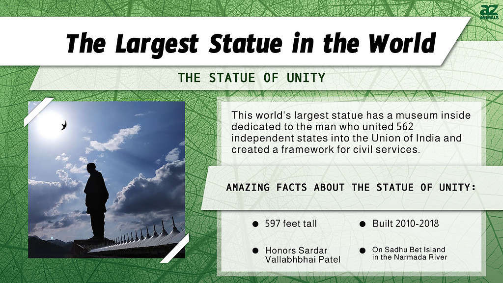 "Largest" infographic for the largest statue in the world, the Statue of Unity in India.