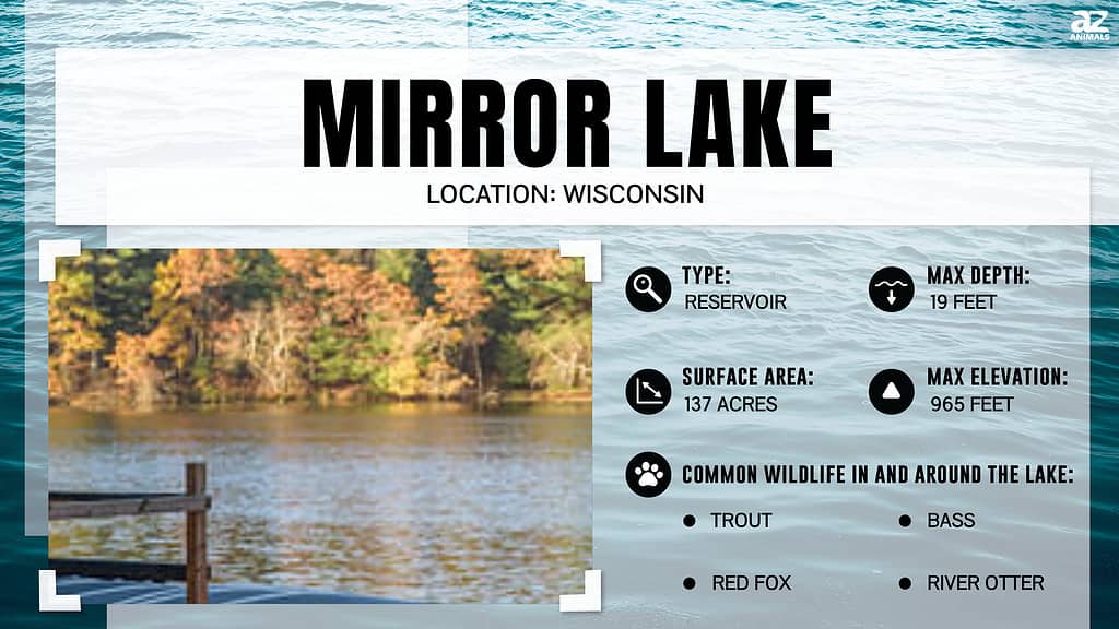 "Lake" infographic for Mirror Lake, WI.