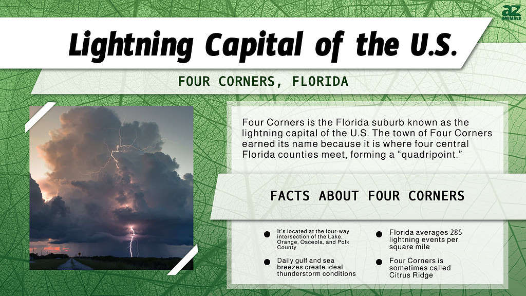 Lightning Capital of the U.S. infographic