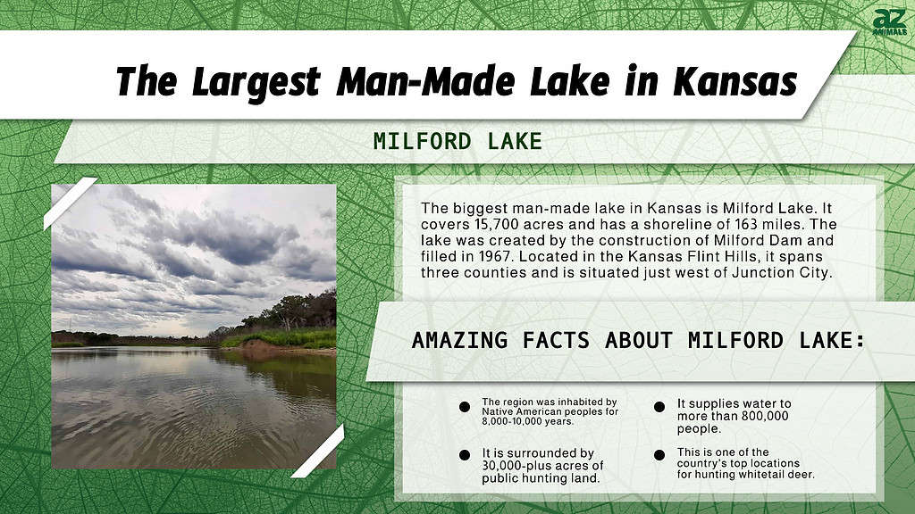 Infographic of the Largest Man-Made Lake in Kansas