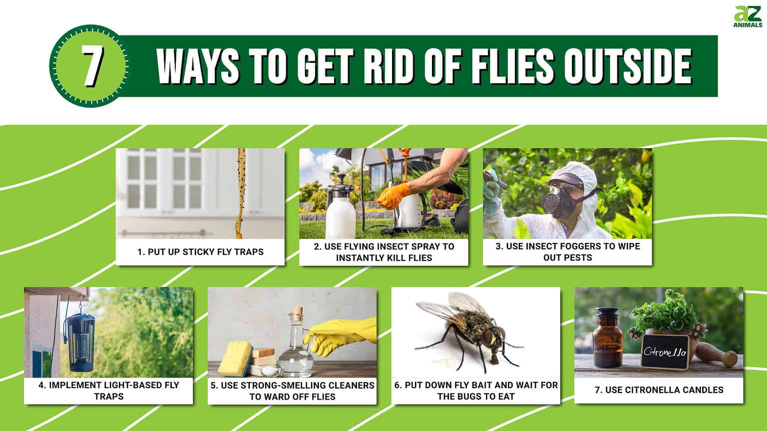 How to Get Rid of Flies Outside Instantly - A-Z Animals