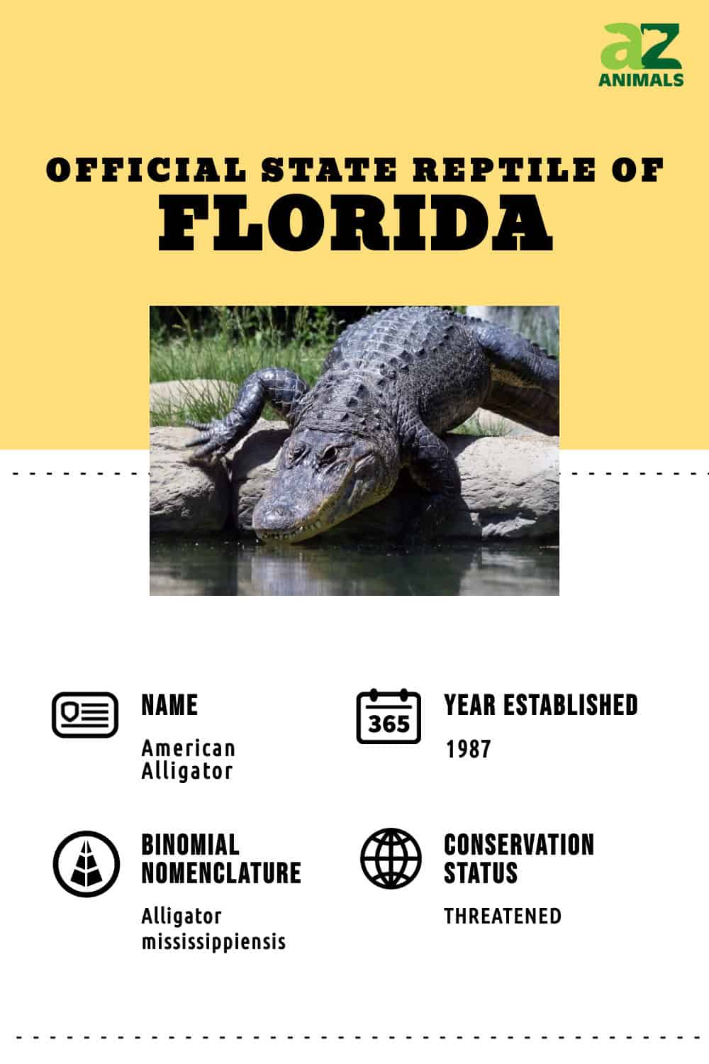 Discover the Official Florida State Reptile AZ Animals