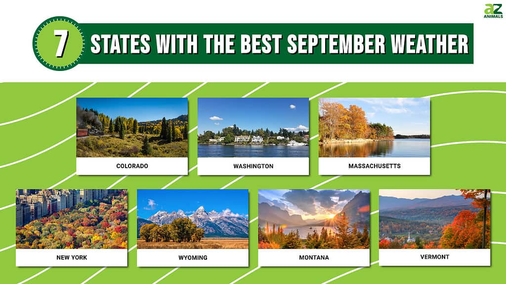 discover-the-7-states-with-the-best-september-weather-az-animals