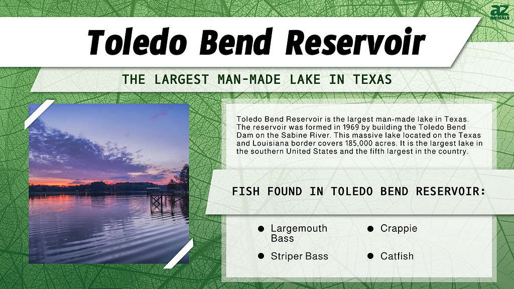 Toledo Bend Reservoir is the Largest Man-Made Lake in Texas