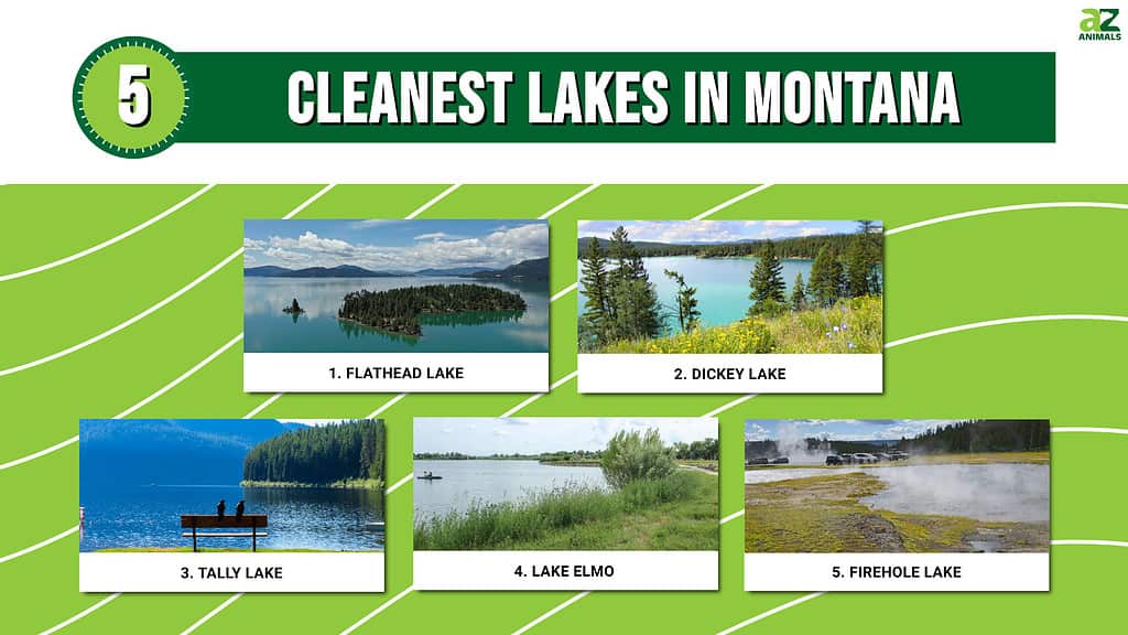 Infographic of 5 Cleanest Lakes in Montana