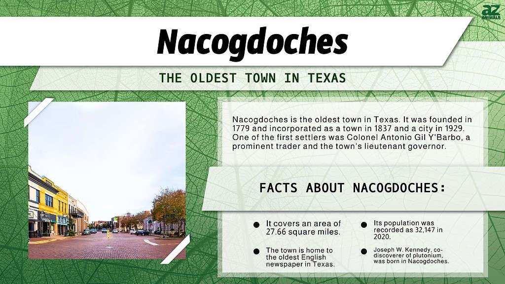 Infographic of Nacogdoches