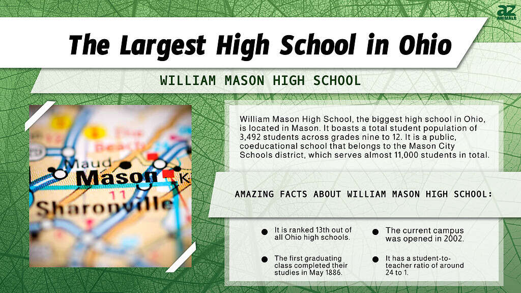 Infographic of the Largest High School in Ohio