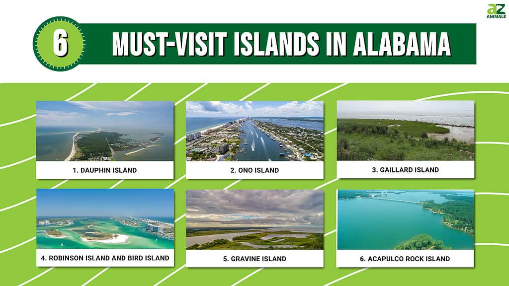 5 Must-Visit Islands in Alabama