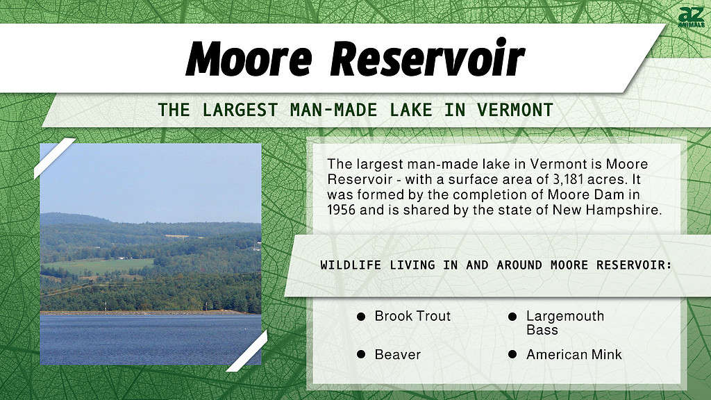 Moore Reservoir is the Largest Man-Made Lake in Vermont