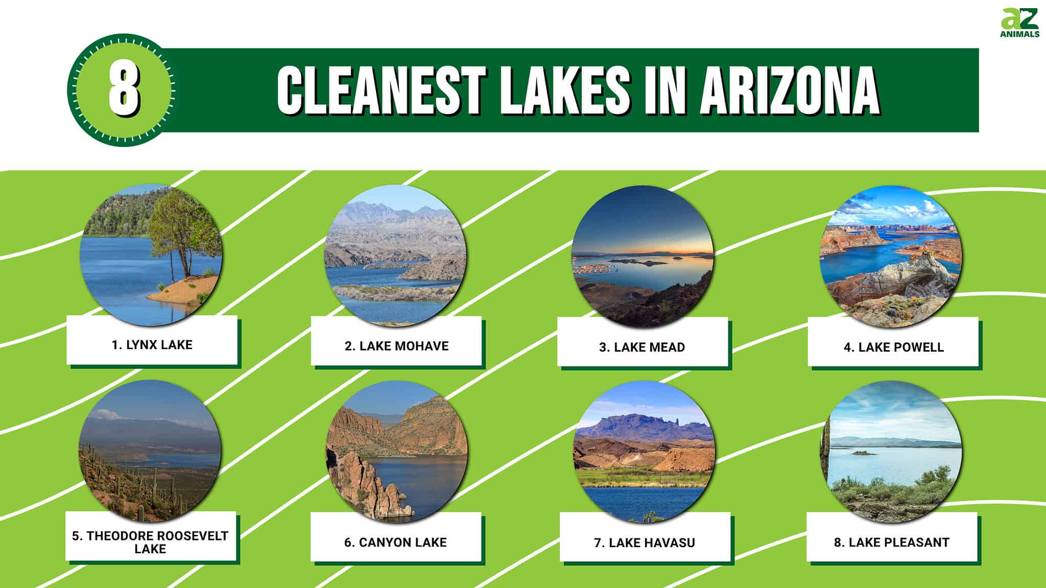 Discover the 8 Cleanest Lakes in Arizona - A-Z Animals