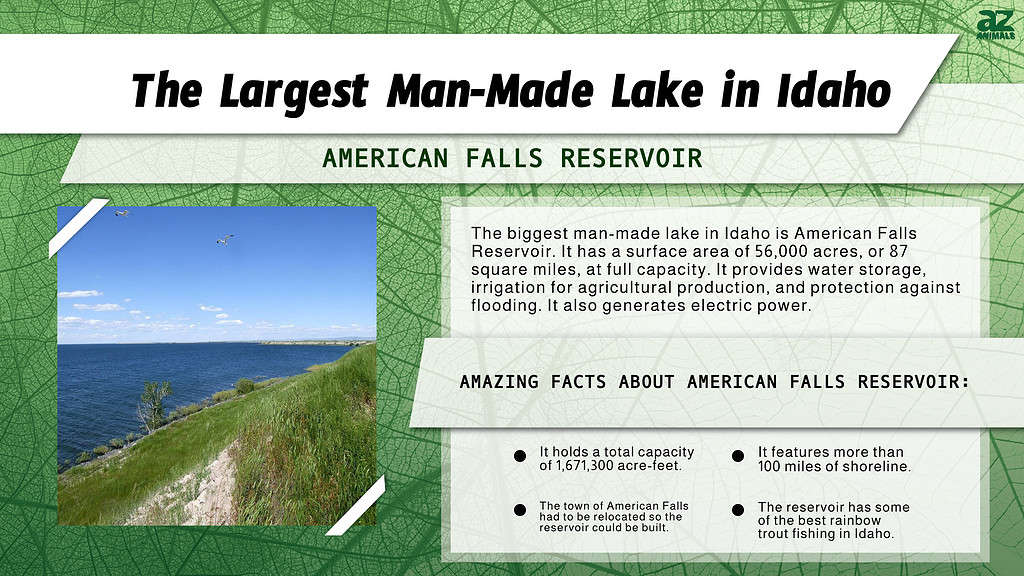 Infographic of the Largest Man-Made Lake in Idaho