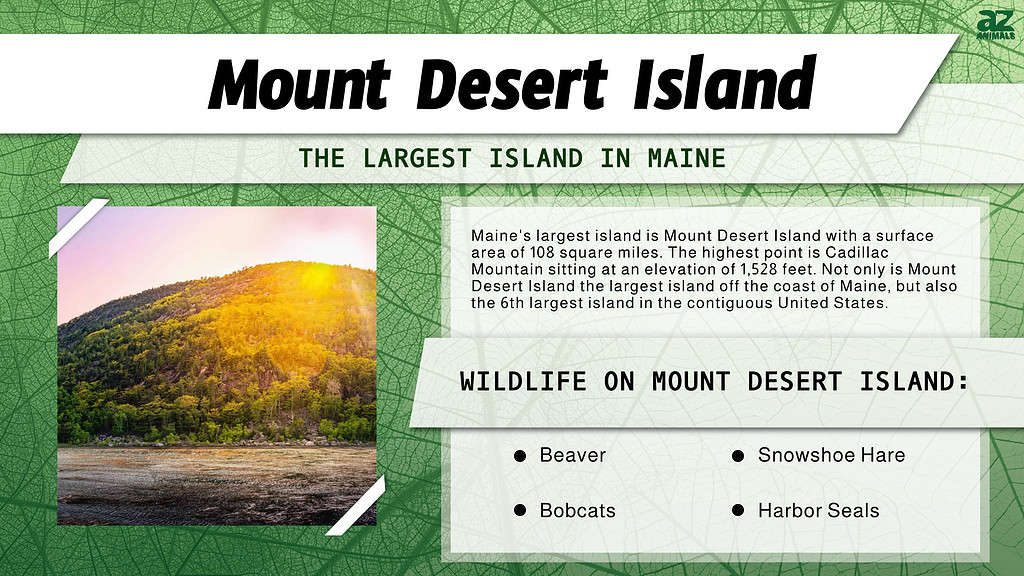 Mount Desert Island is the Largest Island in Maine