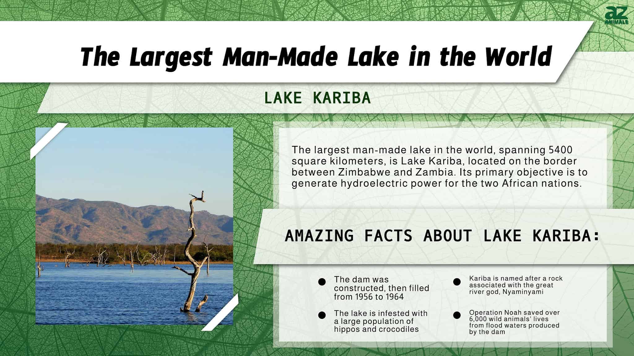 The Largest Man-Made Lake In The World Is Infested With Crocodiles And ...