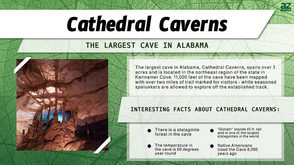 Cathedral Caverns is the Largest Cave in Alabama