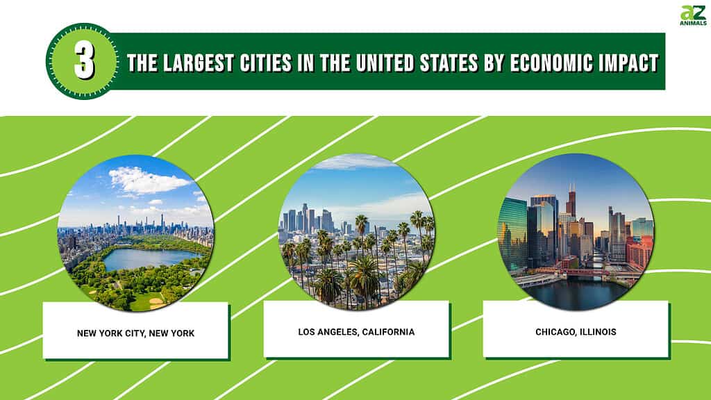 Infographic of the largest cities in the US by economic impact.