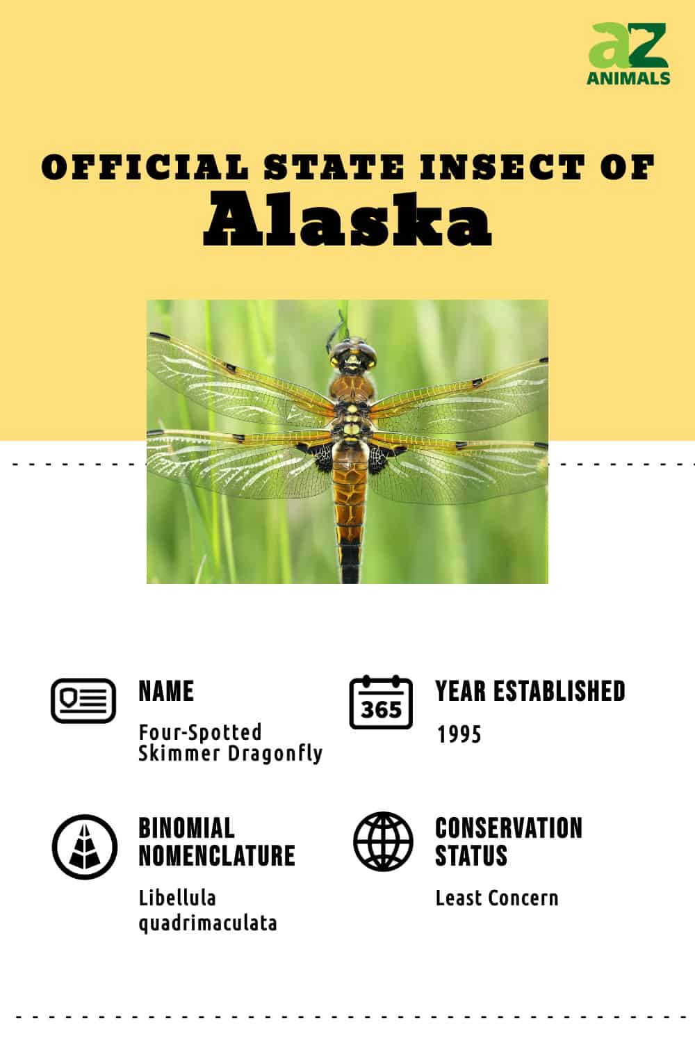 Discover the Official Alaska State Insect AZ Animals