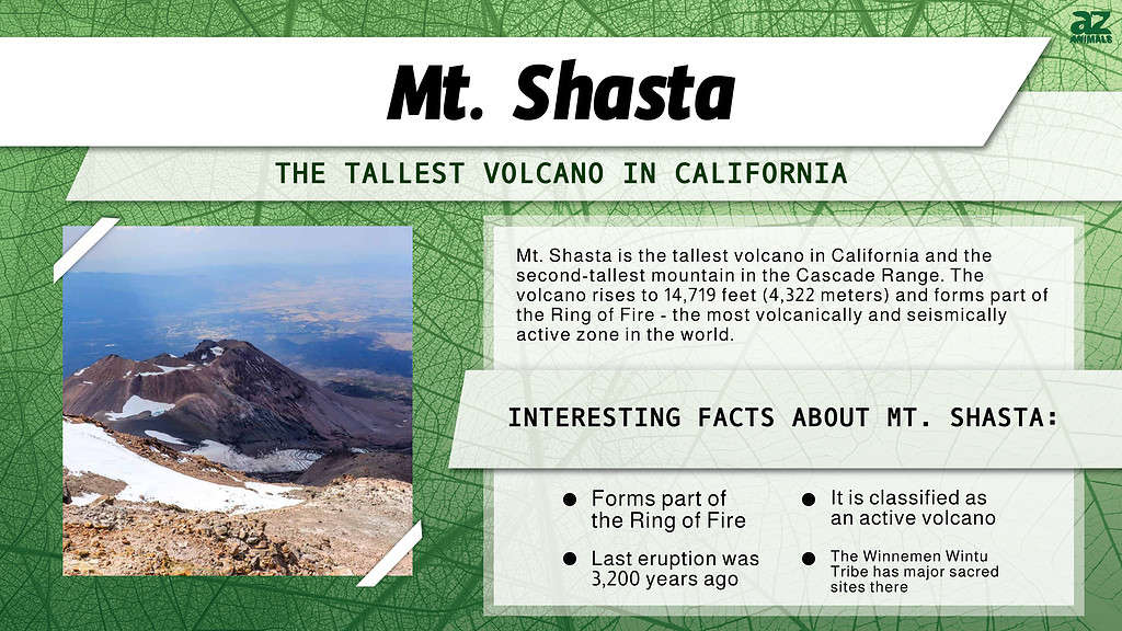 Mt. Shasta is the Tallest Volcano in California