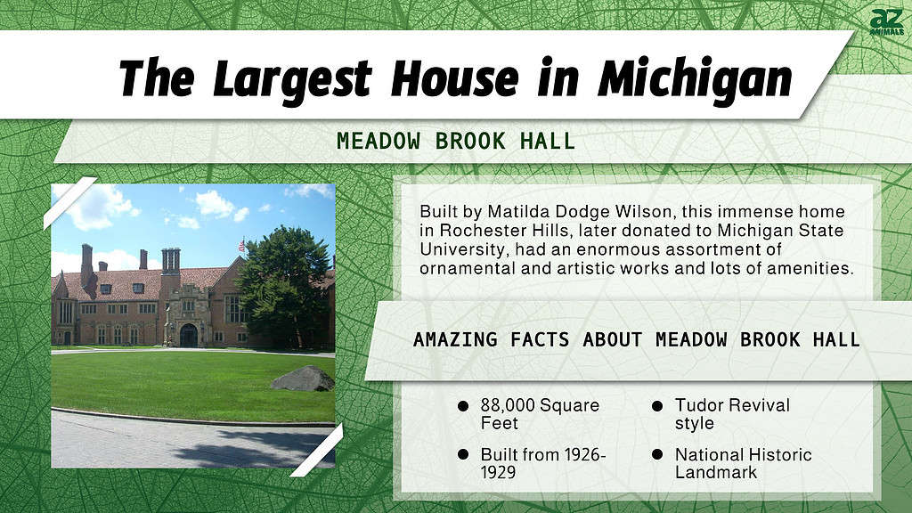 discover-the-largest-house-in-michigan-and-just-how-big-88-000-square