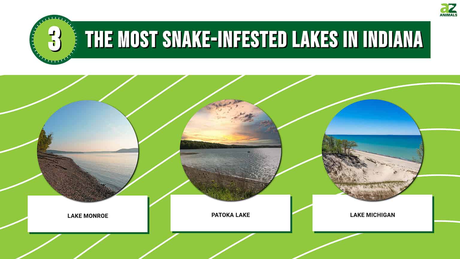 The Most Snake-Infested Lakes In Indiana - A-Z Animals