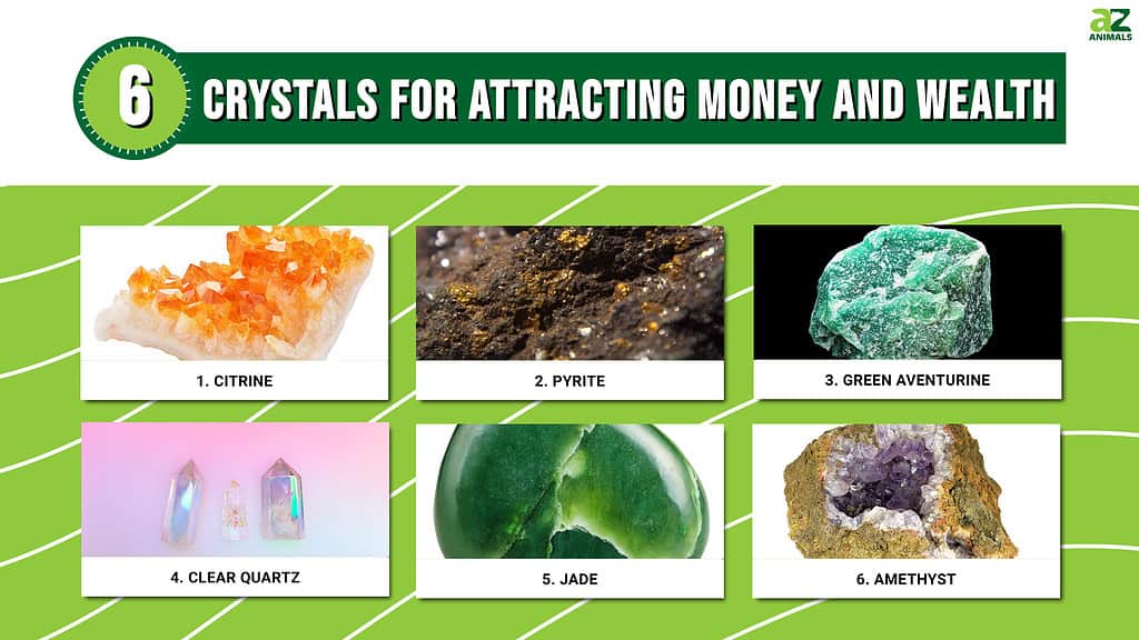 Infographic of 6 Crystals for Attracting Money and Wealth