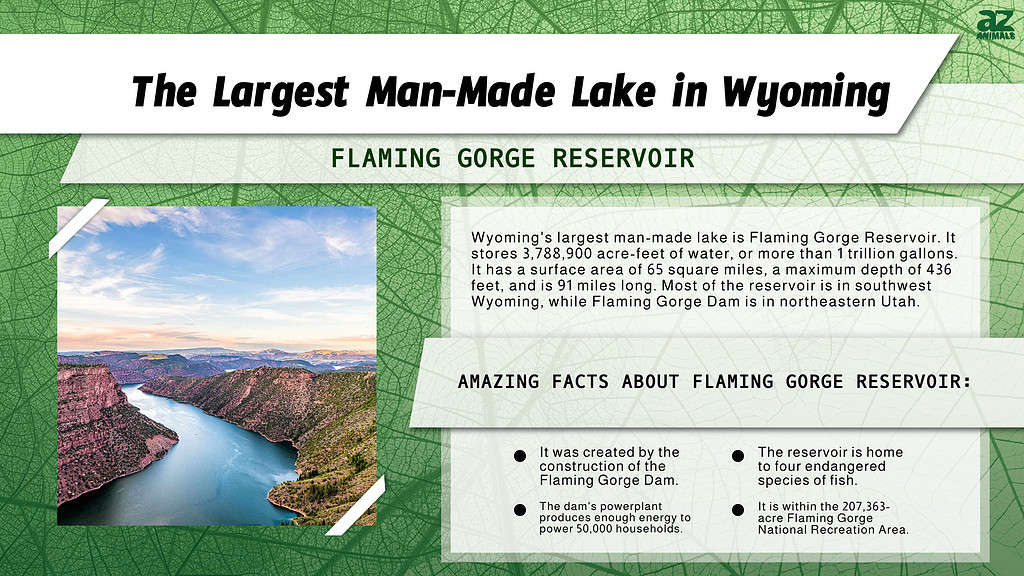 Infographic of the Largest Man-Made Lake in Wyoming
