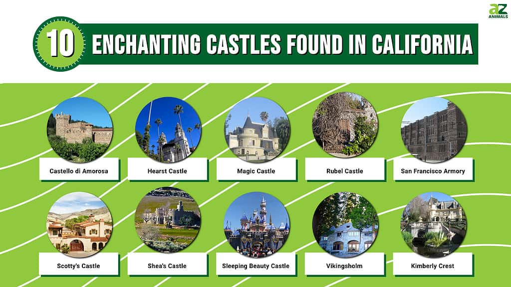 Infographic for the 10 Enchanting Castles found in CA.