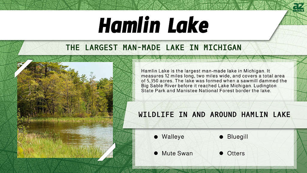 Hamlin Lake is the Largest Man-Made Lake in Michigan