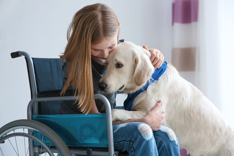 Girl in wheelchair with service dog indoors