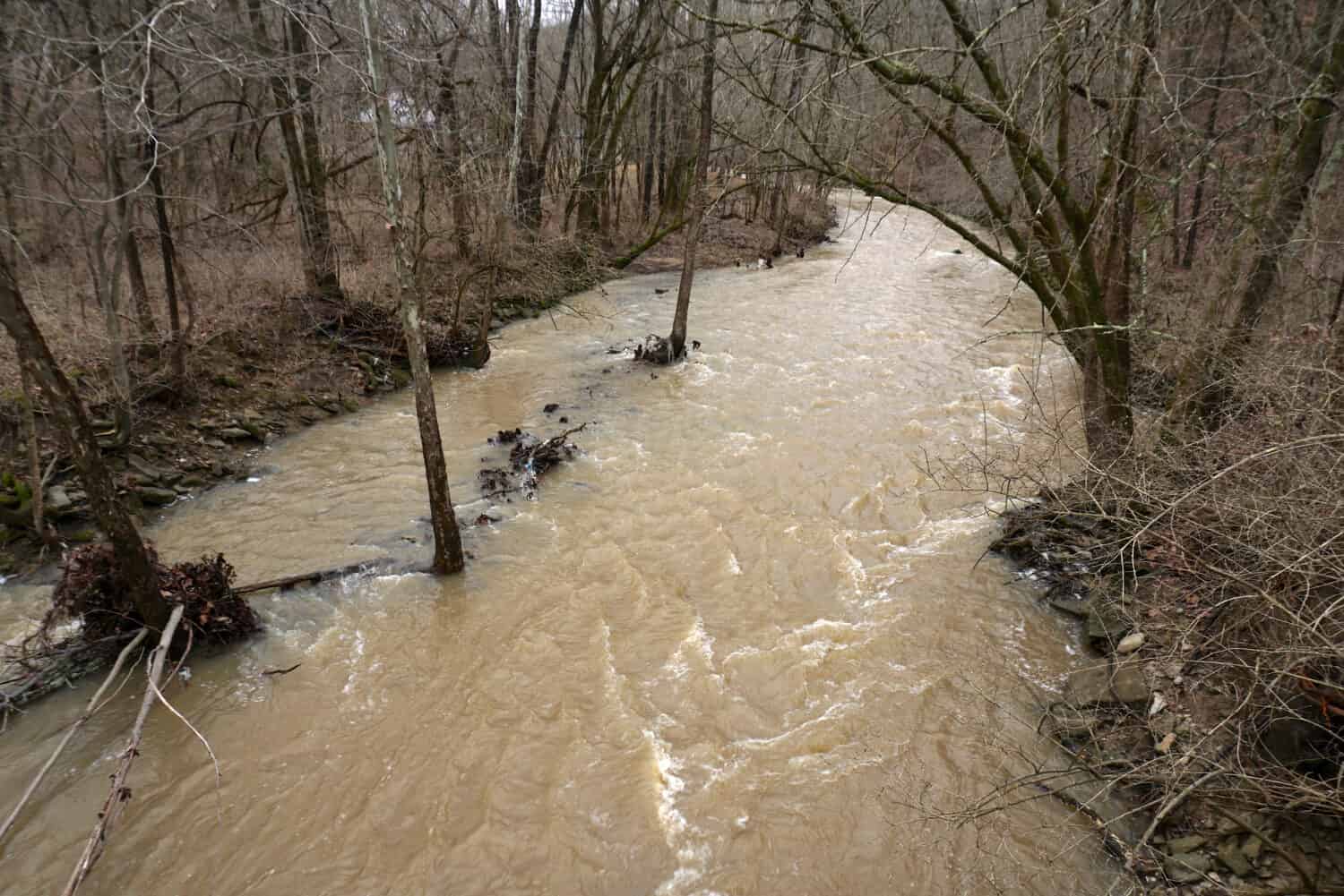 muddy flooding rivers and creek in ohio with trees underwater 