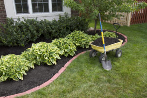 Should You Add More Mulch to Your Yard in the Fall? 11 Important Things to Know First Picture