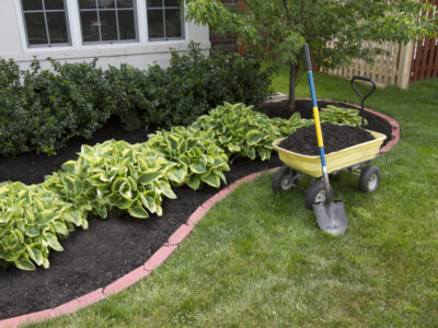 A What to Do With Old Mulch: 10 Helpful Tips and Options