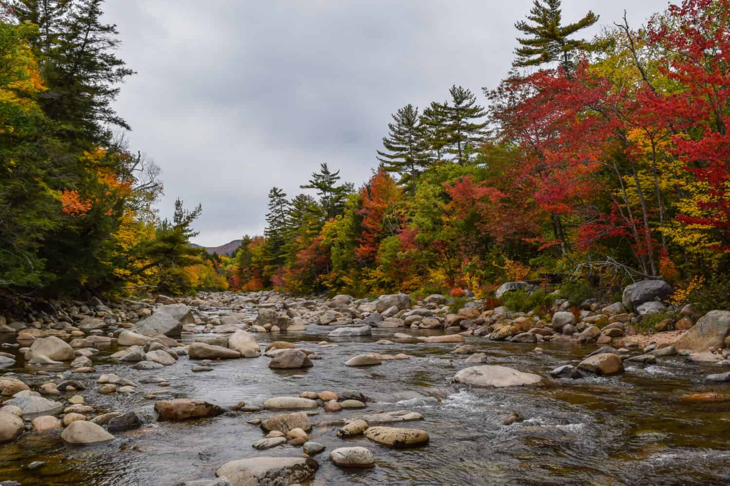 Discover When Leaves Change Color in New Hampshire (Plus 5 Towns with ...