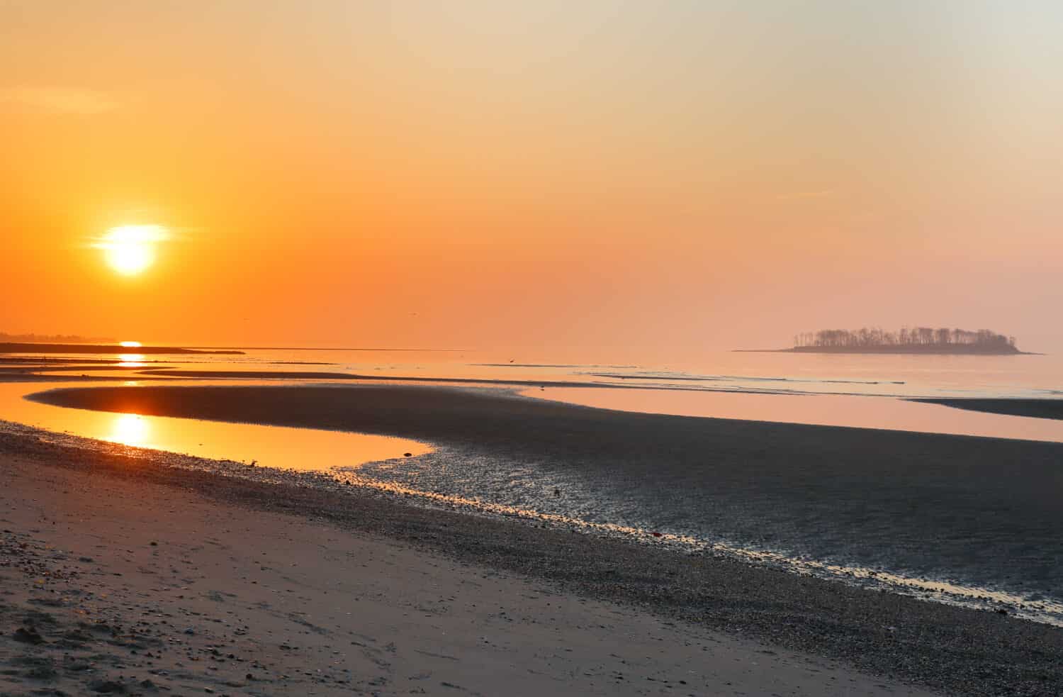 Overview of beautiful Silver Sands Beach at sunrise at low tide at Silver Sands State Park , Milford Connecticut, USA. Photo shows Charles Island in the background.